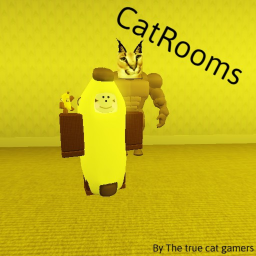CatRooms