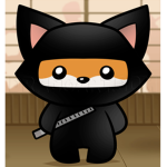 NinjaFox Team