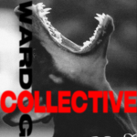 WARDOG COLLECTIVE