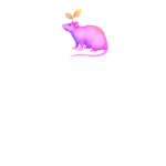 rat vibe room