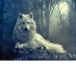 Wolfie Squad <33