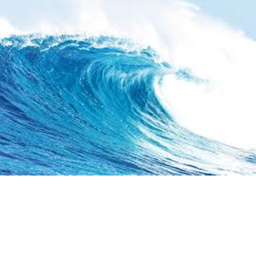 survivle the sea