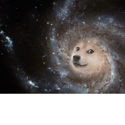 Doggy's Café [ ###### FLOOR, MR+ ONLY! ]