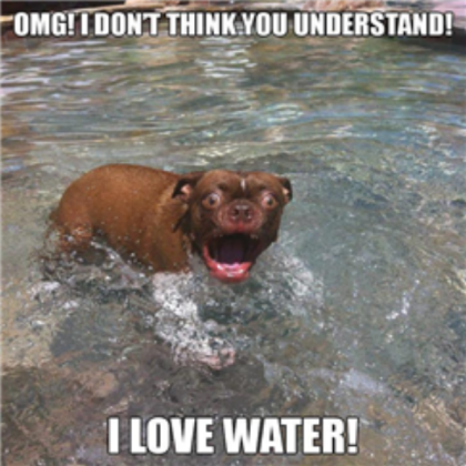 Funny-dog-I-love-water Roblox decal