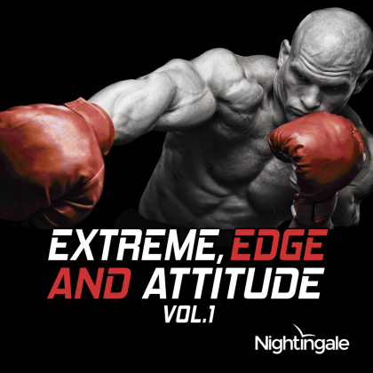 Industrial Sacrifice Roblox music