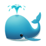 Deep Whale Group Thumbnail