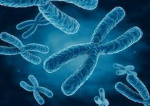 extra chromosome studios
