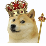Royal Doge soldiers