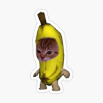 Hola soy sebas