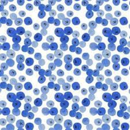 Blueberry Obby
