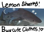*~Sharkz~*