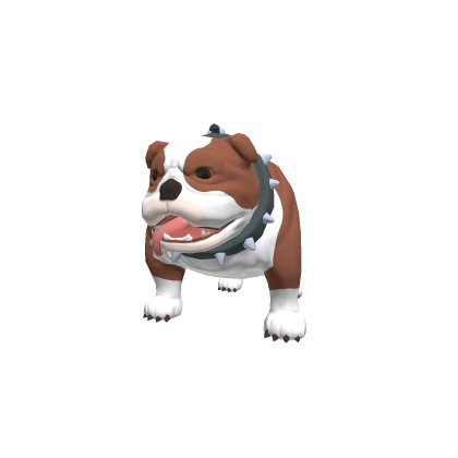 English Bulldog