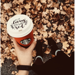 🍁