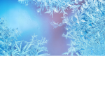 FROST GROUP#!!!