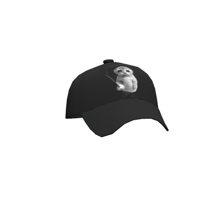 el gato grunge cat cap Roblox item