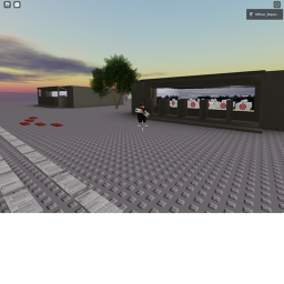 DEVELOPED | Firearms Practice