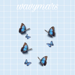 wavymars