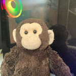 MonkeyNationIsKool