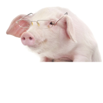 PiggyForce
