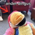 ander dingus