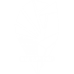 Destined Pioneer