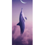 Dolphinsquad!