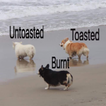 Doge bois and gals