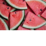 Ibella watermelon group