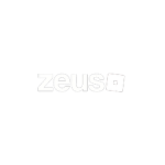 The Roblox Zeus Network