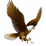 Montreal Eagles Fc