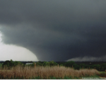 Weather fans group