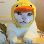 Las amigas/los amigos en roblox
