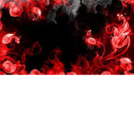 xavierwilldplayz group for fans