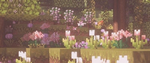 hedgehogs are cute! :D