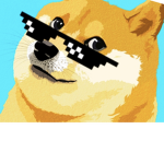 Doge clan of coolness