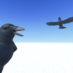 The Bird Project