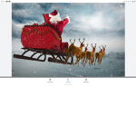 il gruppo delle renne_ITAcute