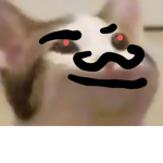 SMALL CAT REVELOUTION