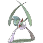 Teen Willow