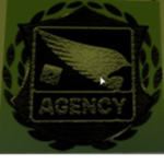 The Brookhaven Agency Service