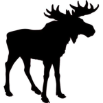 Moose Airlines TM
