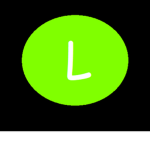 L's STORE
