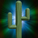Super Cactus studio