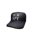 IM A SPY