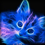 neons friends!