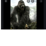 (team monkey)