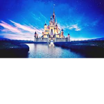 Disney Clothing Group