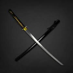 Classic Sword Fighting 2008