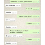 ##### ###### Luisito Ho