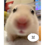KGY그룹#